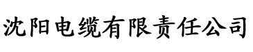 国产成人久久精品二区三区电缆厂logo